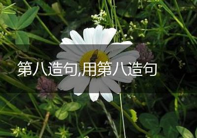第八造句,用第八造句