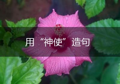 用“神使”造句