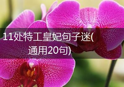 11处特工皇妃句子迷(通用20句)