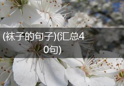 (袜子的句子)(汇总40句)