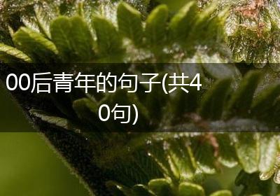 00后青年的句子(共40句)