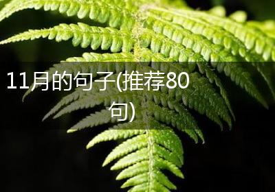 11月的句子(推荐80句)