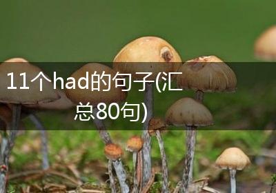 11个had的句子(汇总80句)