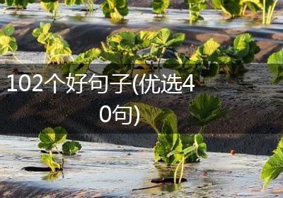 102个好句子(优选40句)
