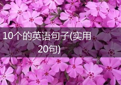 10个的英语句子(实用20句)