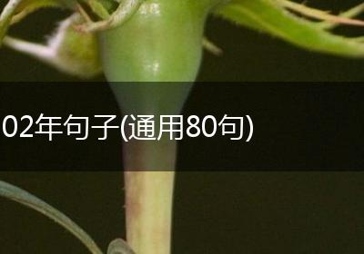 02年句子(通用80句)