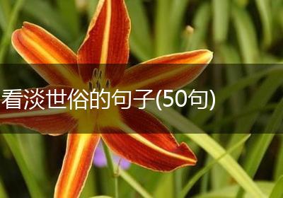 看淡世俗的句子(50句)