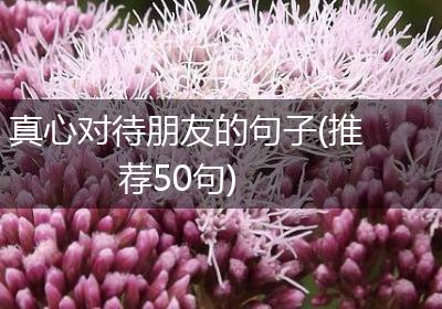 真心对待朋友的句子(推荐50句)