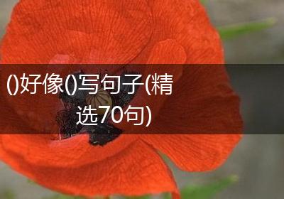 ()好像()写句子(精选70句)