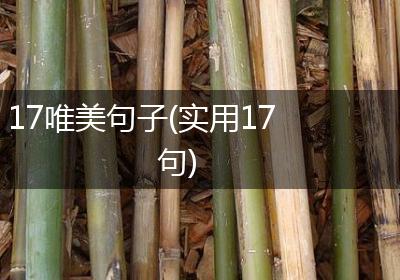 17唯美句子(实用17句)