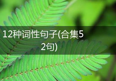 12种词性句子(合集52句)
