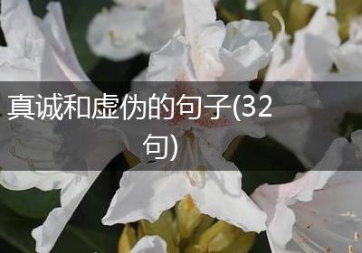 真诚和虚伪的句子(32句)