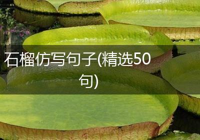 石榴仿写句子(精选50句)