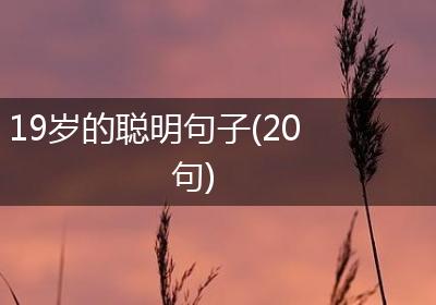 19岁的聪明句子(20句)