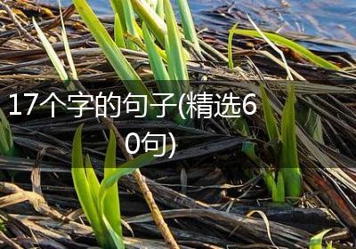 17个字的句子(精选60句)