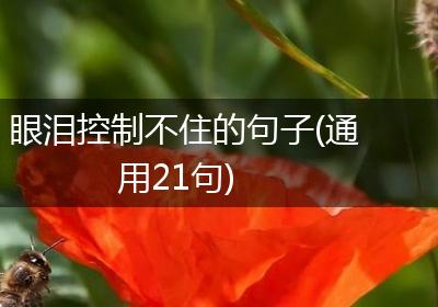 眼泪控制不住的句子(通用21句)