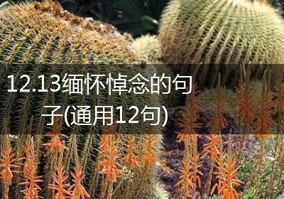 12.13缅怀悼念的句子(通用12句)