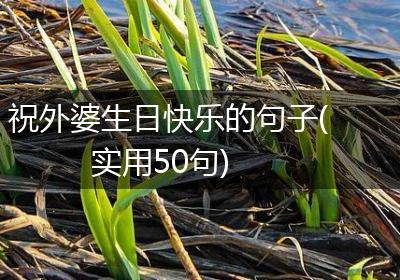 祝外婆生日快乐的句子(实用50句)