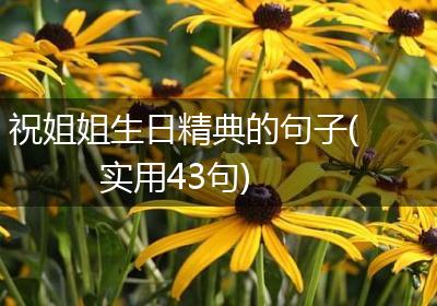 祝姐姐生日精典的句子(实用43句)