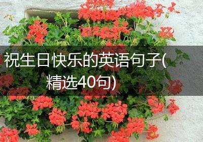 祝生日快乐的英语句子(精选40句)