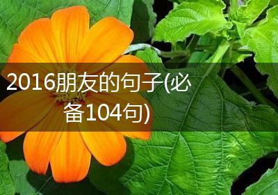 2016朋友的句子(必备104句)