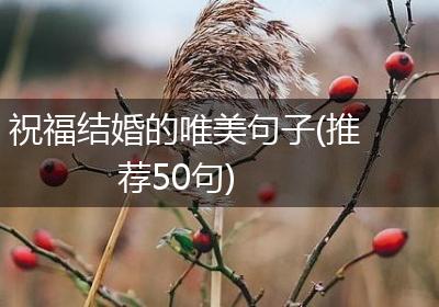 祝福结婚的唯美句子(推荐50句)