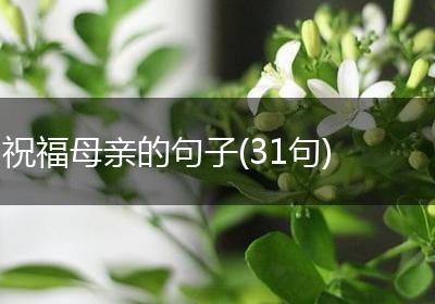 祝福母亲的句子(31句)