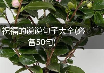 祝福的说说句子大全(必备50句)