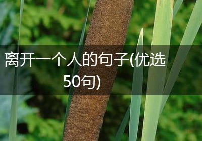 离开一个人的句子(优选50句)