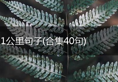 1公里句子(合集40句)