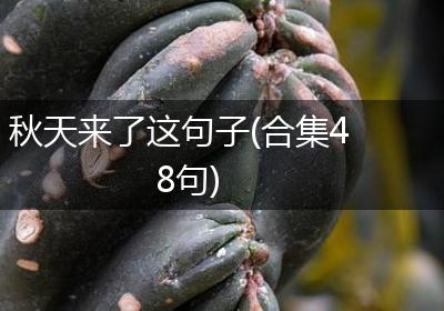 秋天来了这句子(合集48句)