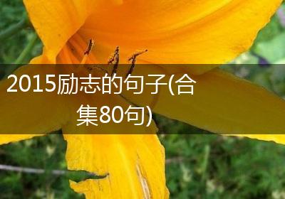 2015励志的句子(合集80句)