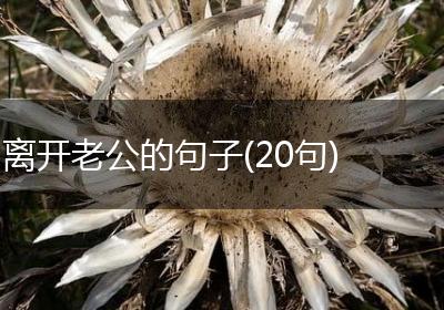 离开老公的句子(20句)