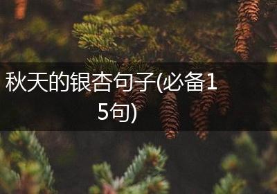 秋天的银杏句子(必备15句)