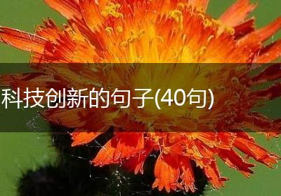 科技创新的句子(40句)