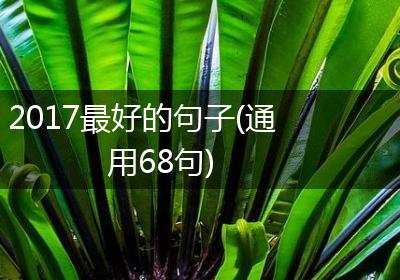 2017最好的句子(通用68句)