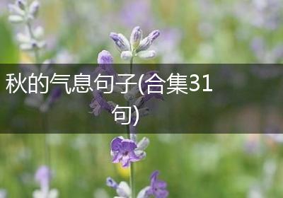 秋的气息句子(合集31句)