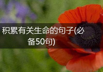 积累有关生命的句子(必备50句)