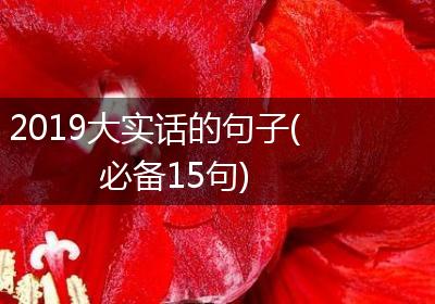 2019大实话的句子(必备15句)