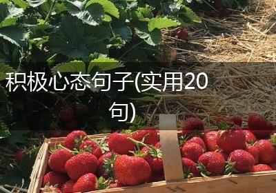 积极心态句子(实用20句)