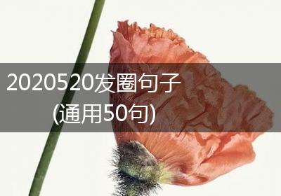 2020520发圈句子(通用50句)