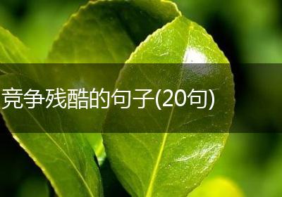 竞争残酷的句子(20句)