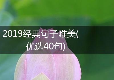 2019经典句子唯美(优选40句)