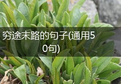 穷途末路的句子(通用50句)