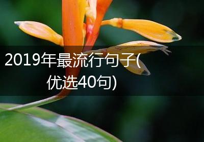 2019年最流行句子(优选40句)