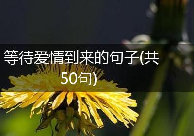 等待爱情到来的句子(共50句)