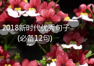 2018新时代优秀句子(必备12句)