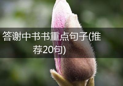 答谢中书书重点句子(推荐20句)