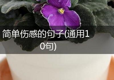 简单伤感的句子(通用10句)