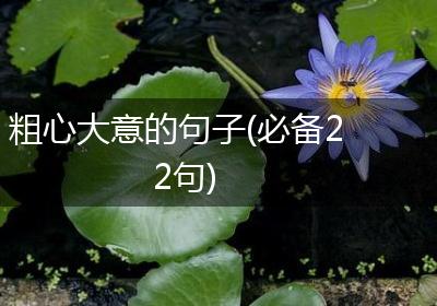 粗心大意的句子(必备22句)